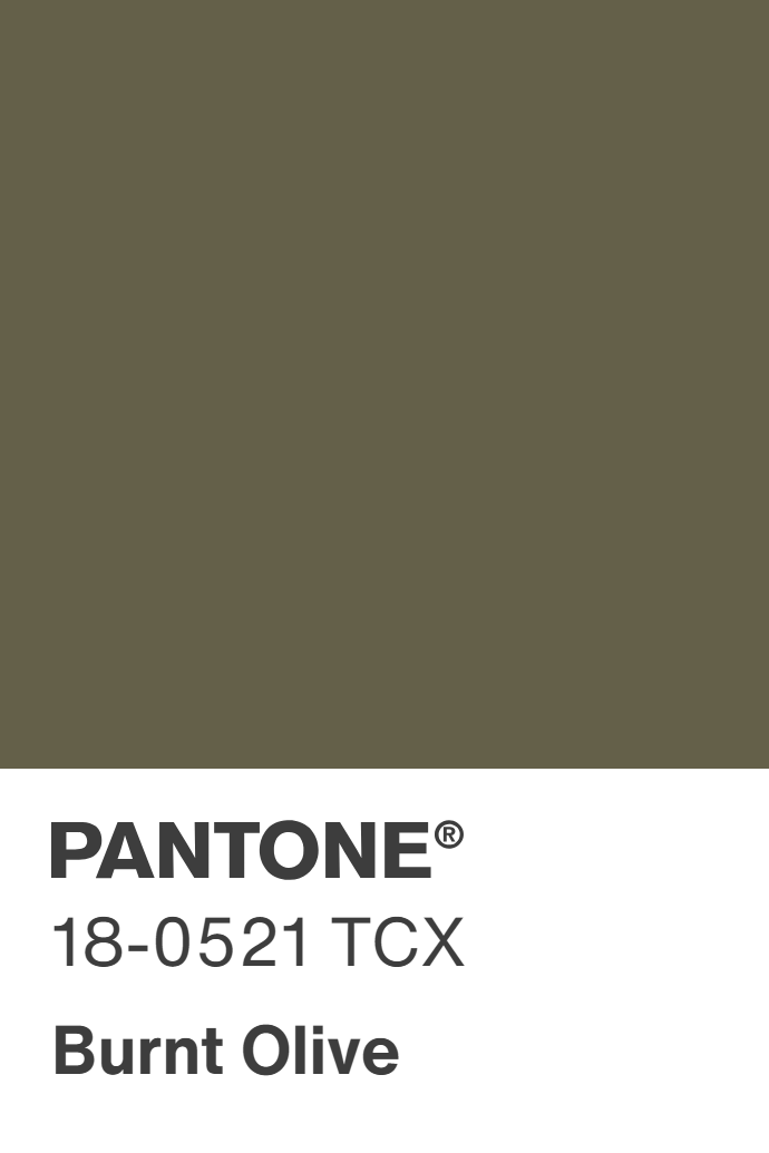 Burnt Olive